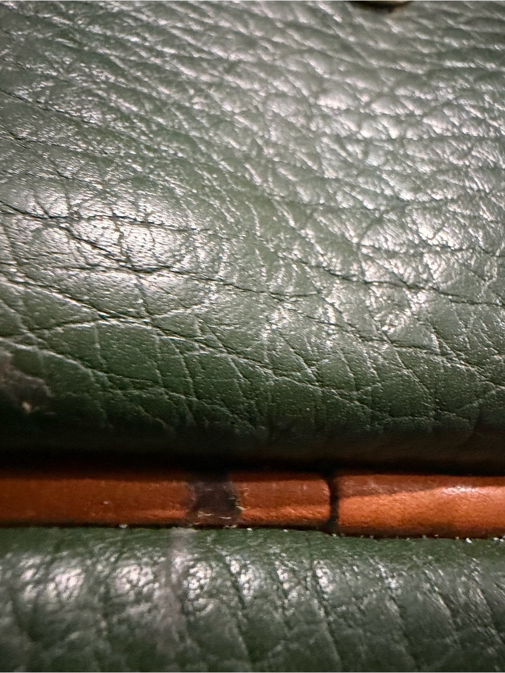 Dooney & Bourke Dark Green Pebbled Leather Belt Bag with Brown Trim - Picture 12 of 12